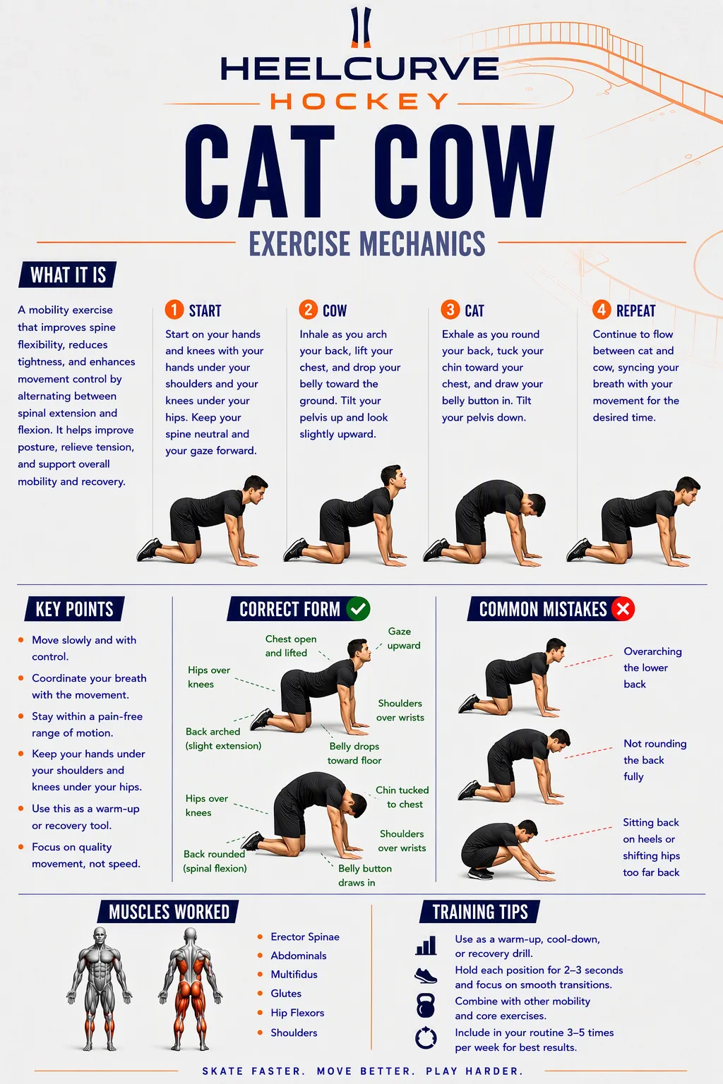 Cat-cow diagram