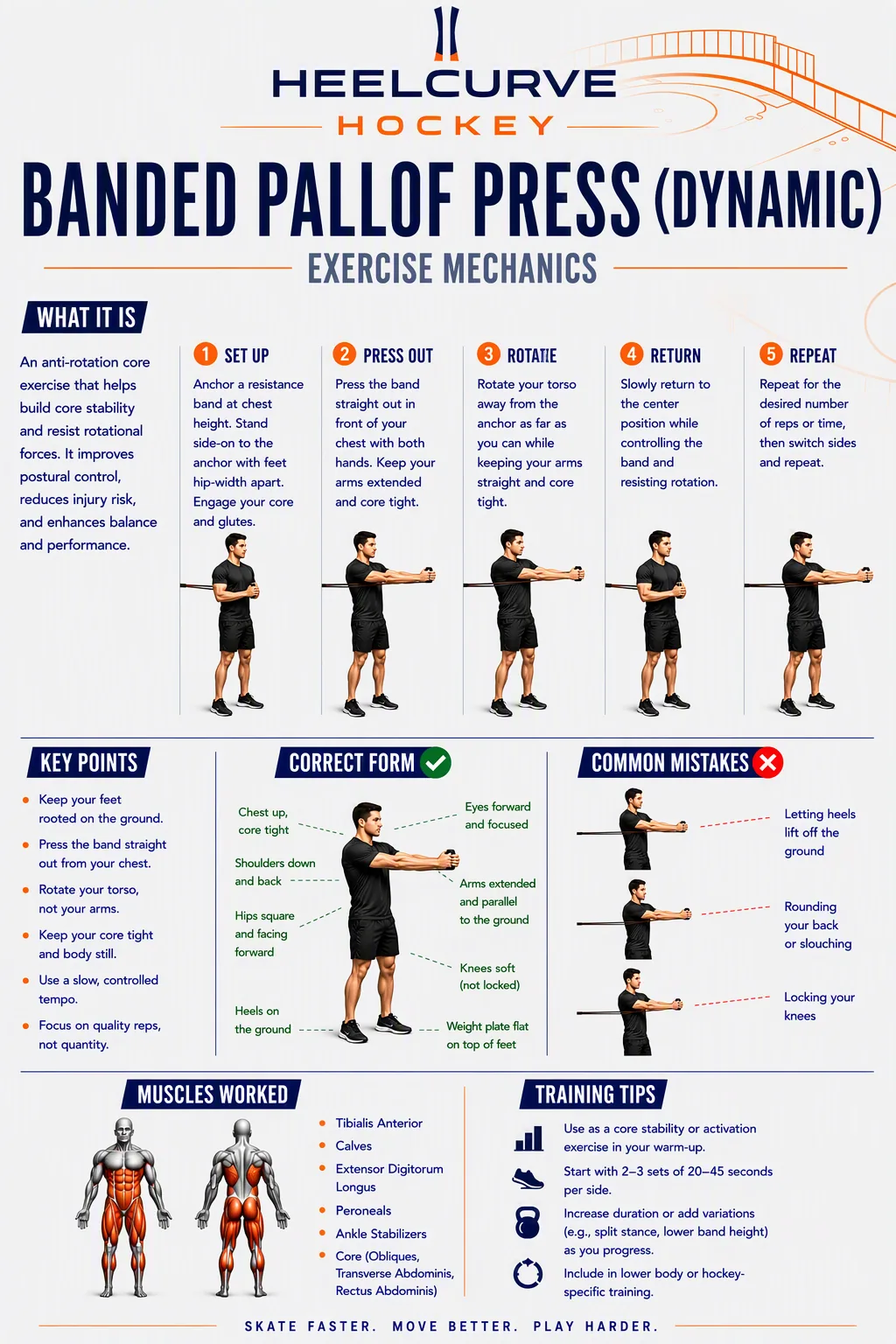 Banded Pallof press (dynamic) diagram