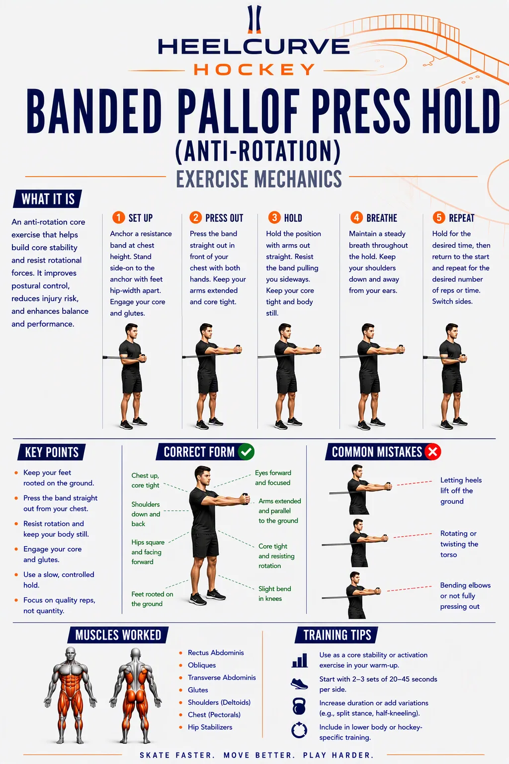 Banded Pallof press hold (anti-rotation) diagram