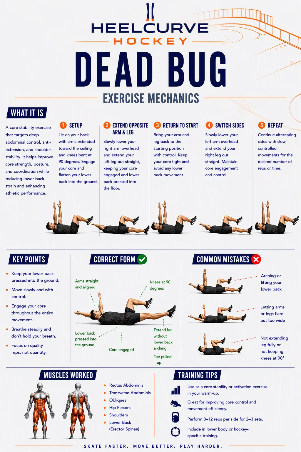 Dead bug diagram