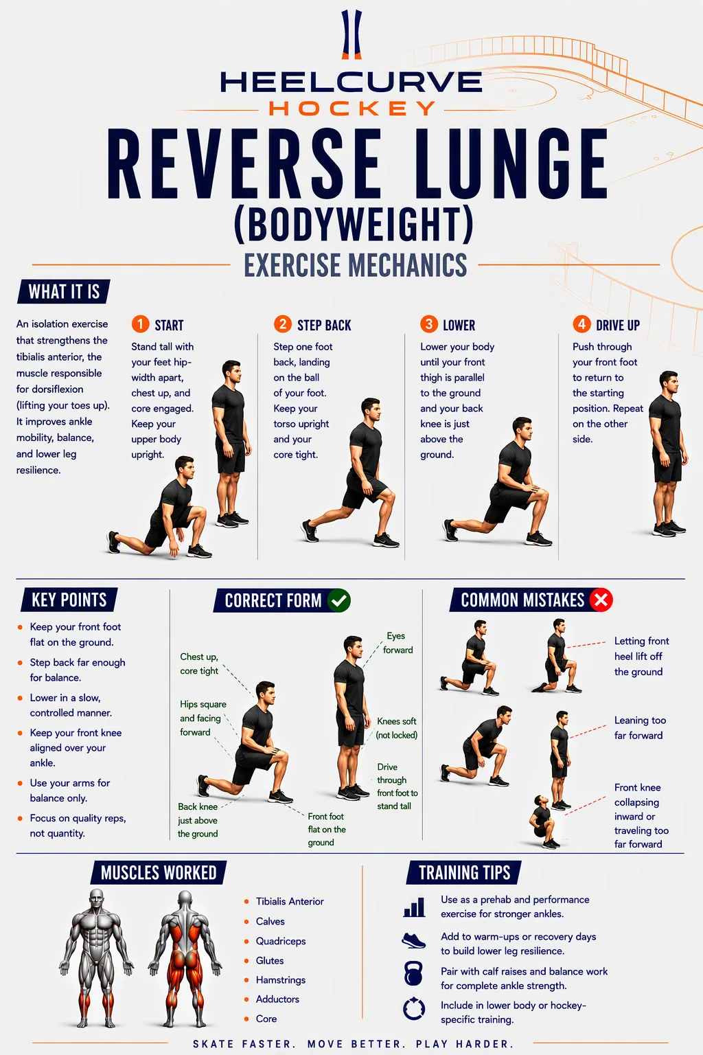 Reverse lunge (bodyweight) diagram