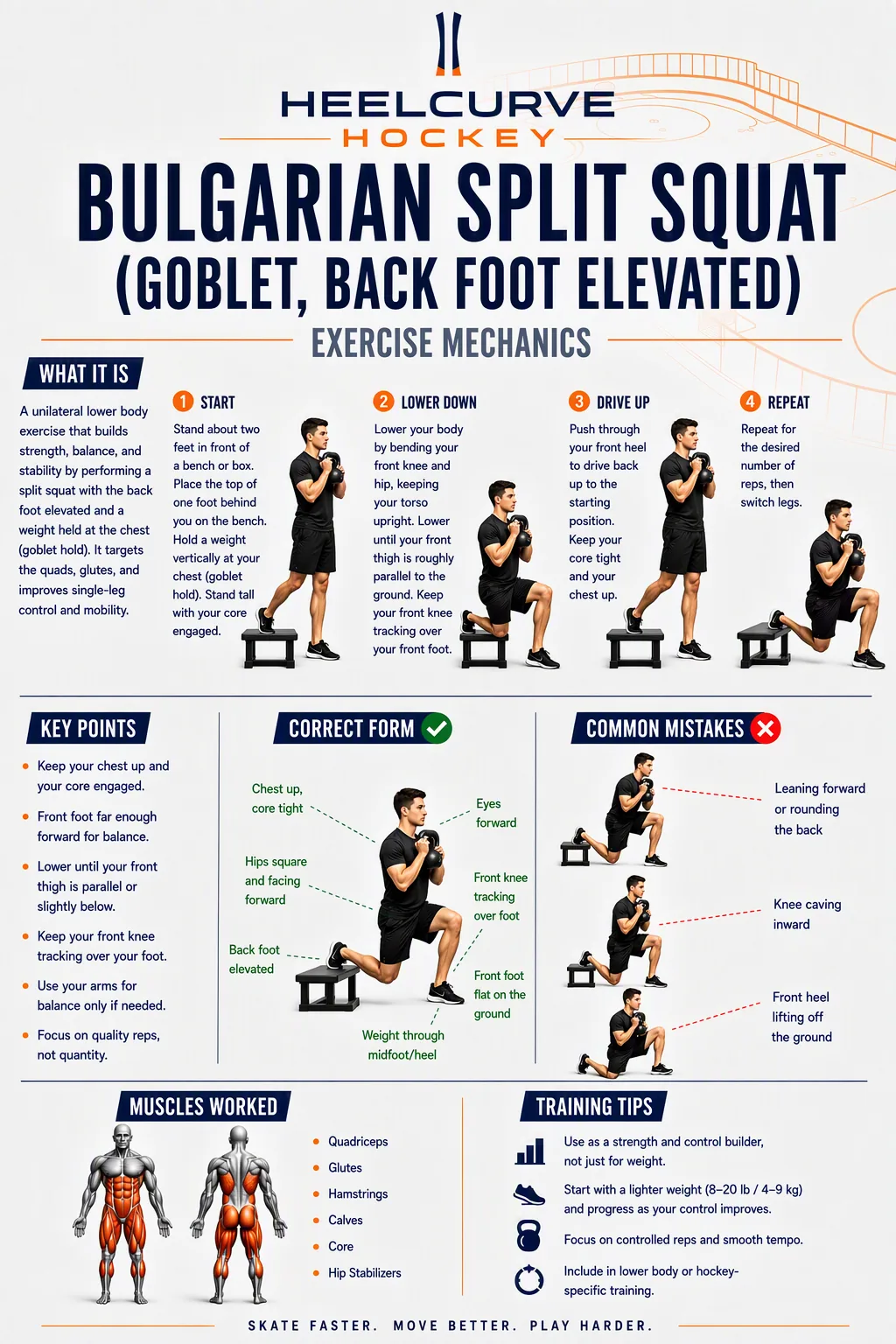 Bulgarian split squat (goblet, back foot elevated) diagram