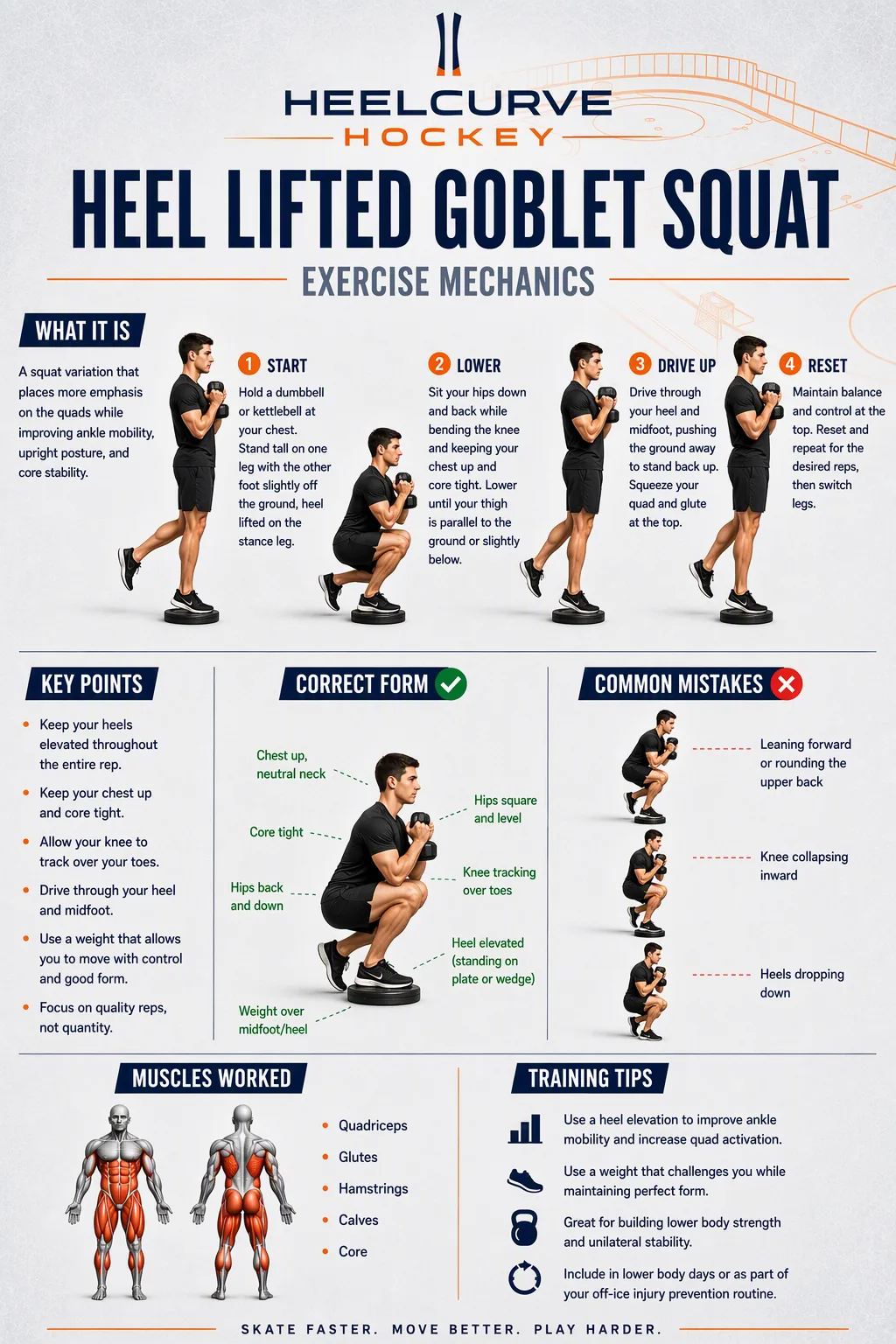 Heel-lifted goblet squat (heels on 5 lb plates, 10-20 lb goblet) diagram