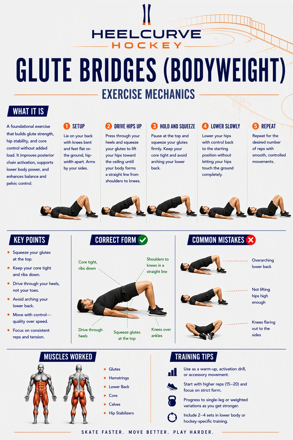 Glute bridges (bodyweight) diagram