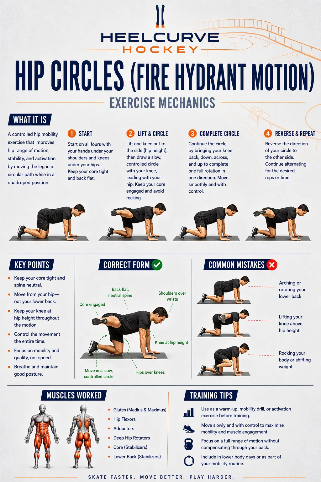 Hip circles (fire hydrant motion) diagram